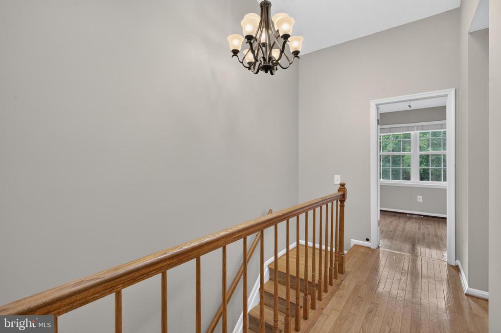 3609 BUCKEYE COURT