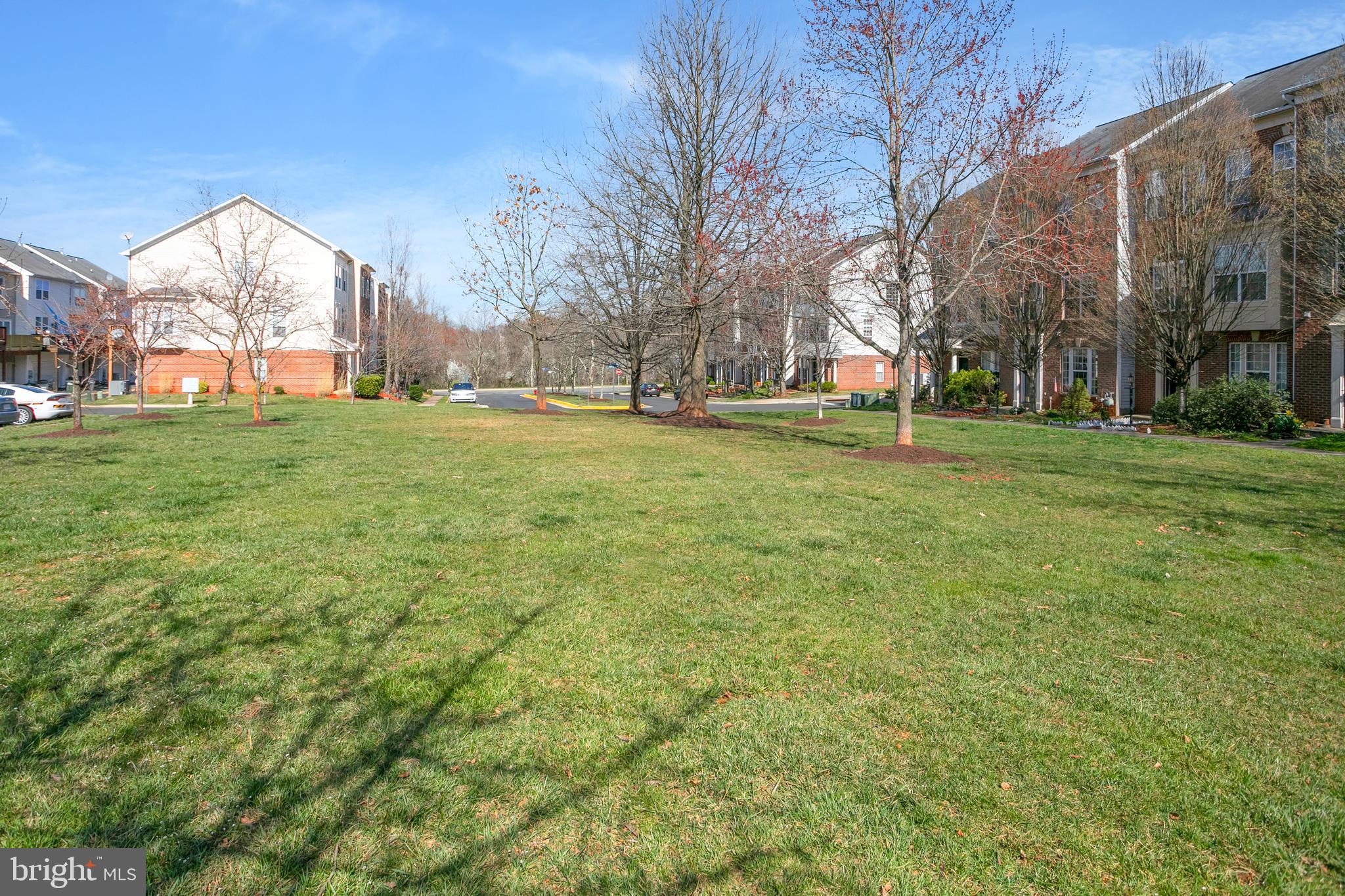 20848 COLLINGWOOD TERRACE