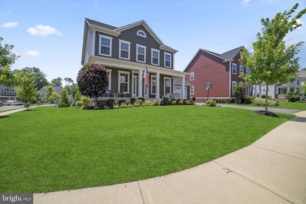 24687 BLACK WILLOW DRIVE