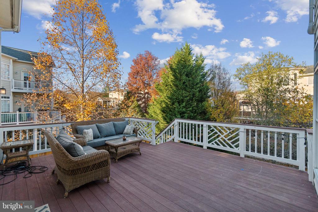 19044 CRIMSON CLOVER TERRACE