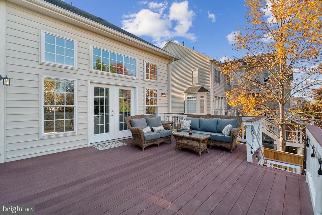 19044 CRIMSON CLOVER TERRACE