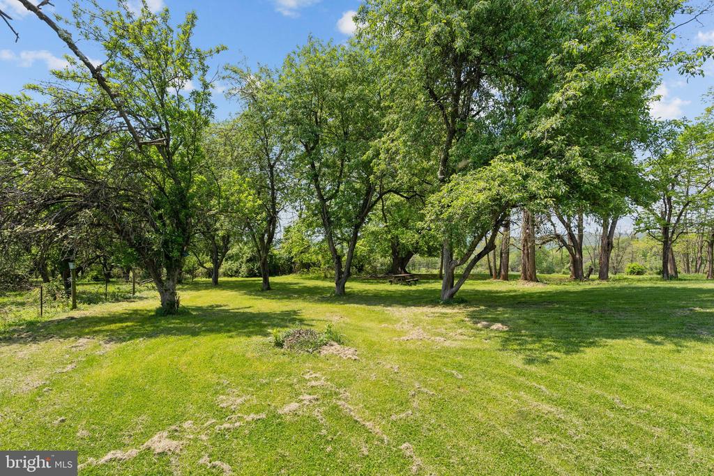 13098 PICNIC WOODS ROAD