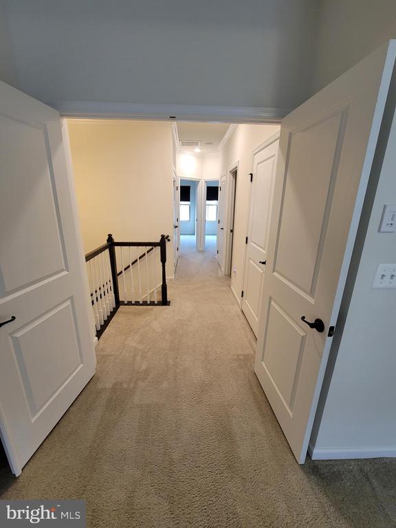 41438 BLACK CHERRY TERRACE