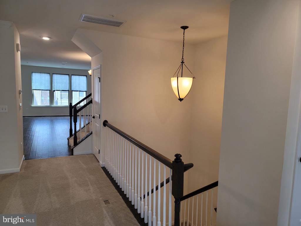 41438 BLACK CHERRY TERRACE