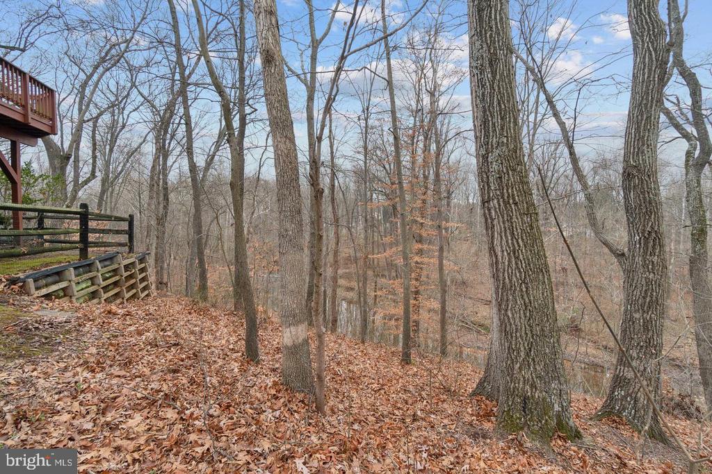 20687 WATERFALL BRANCH TERRACE