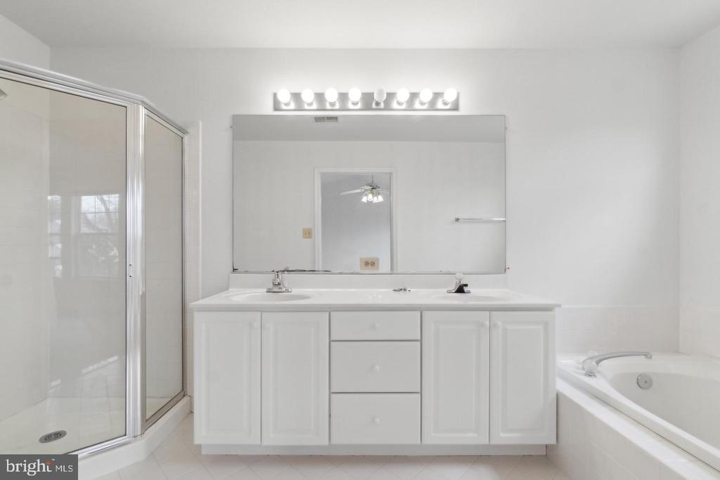 20687 WATERFALL BRANCH TERRACE