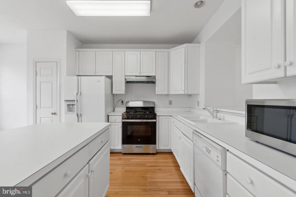 20687 WATERFALL BRANCH TERRACE