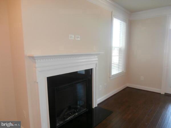 42548 WILDLY TERRACE
