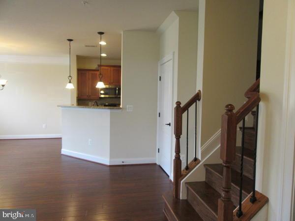 42548 WILDLY TERRACE