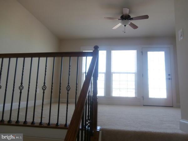 42548 WILDLY TERRACE