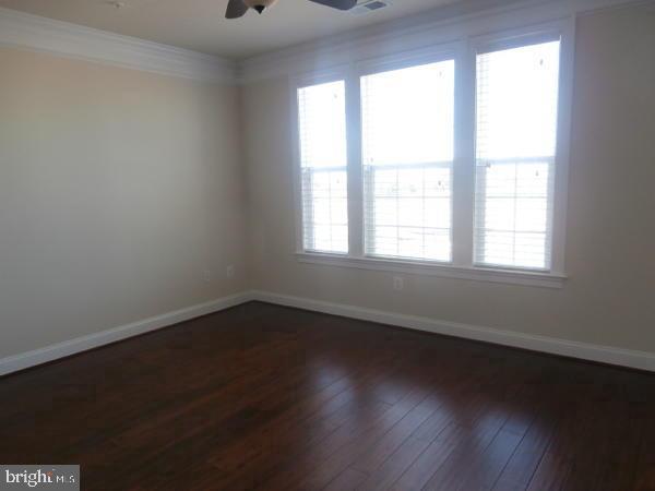 42548 WILDLY TERRACE