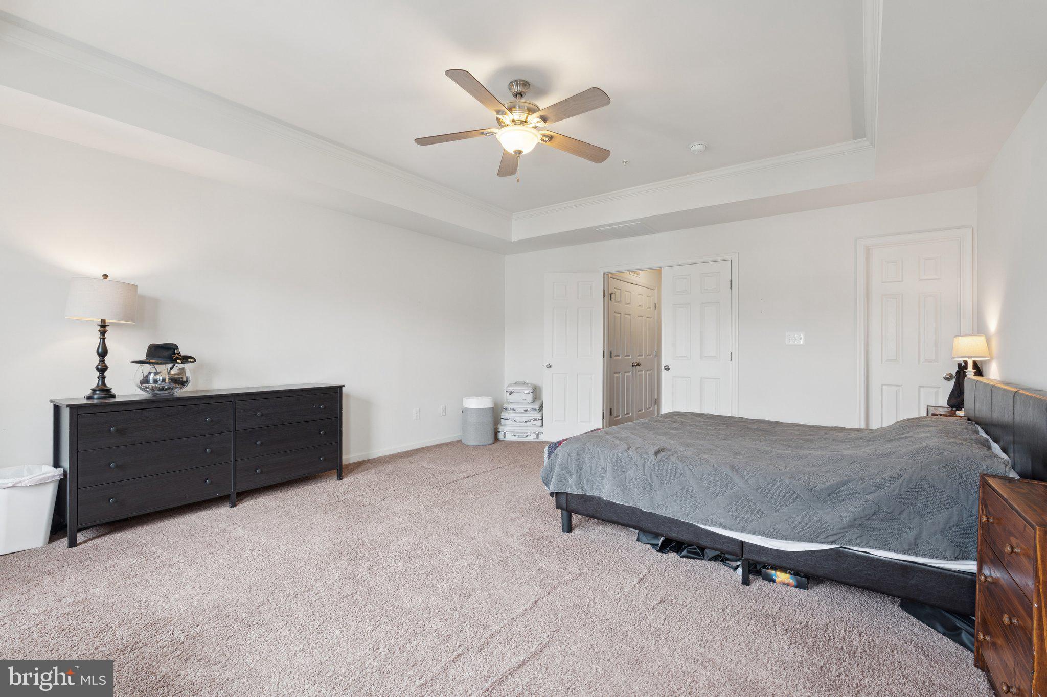 42227 CANARY GRASS SQUARE