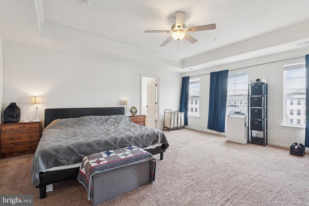 42227 CANARY GRASS SQUARE