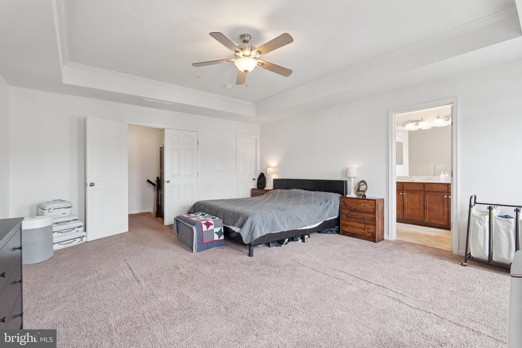 42227 CANARY GRASS SQUARE