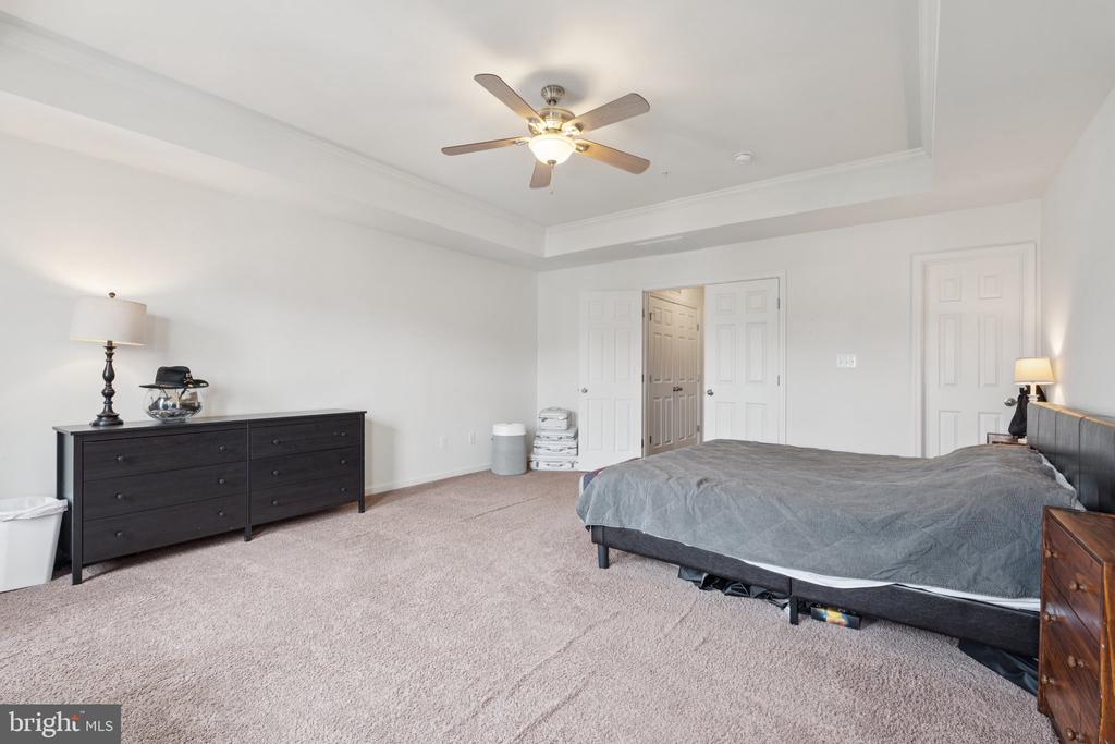 42227 CANARY GRASS SQUARE