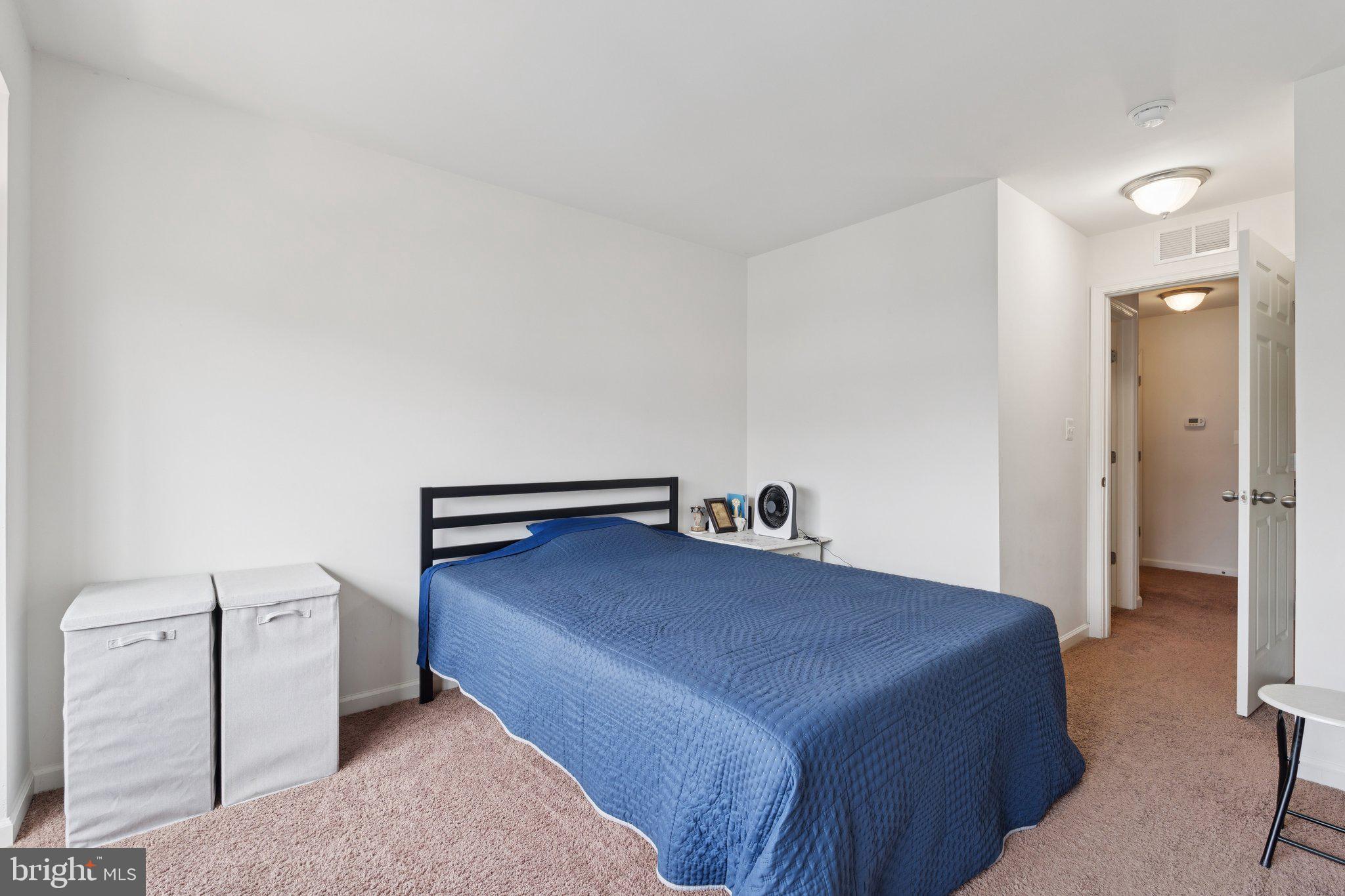 42227 CANARY GRASS SQUARE