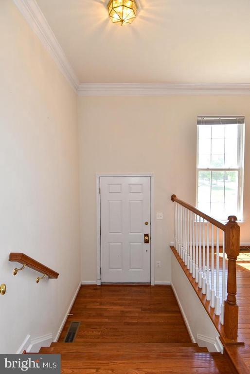 25240 LYON TERRACE