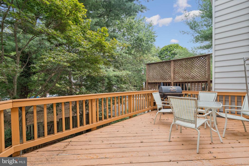 46858 LAWNES CREEK TERRACE