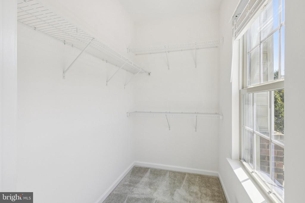 42114 PIEBALD SQUARE