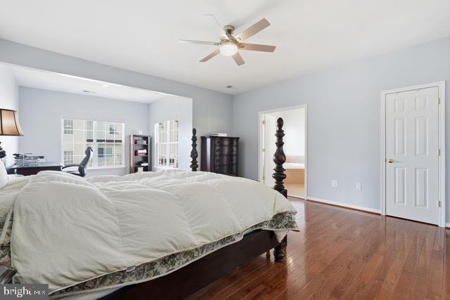 43281 GOOSEFOOT SQUARE