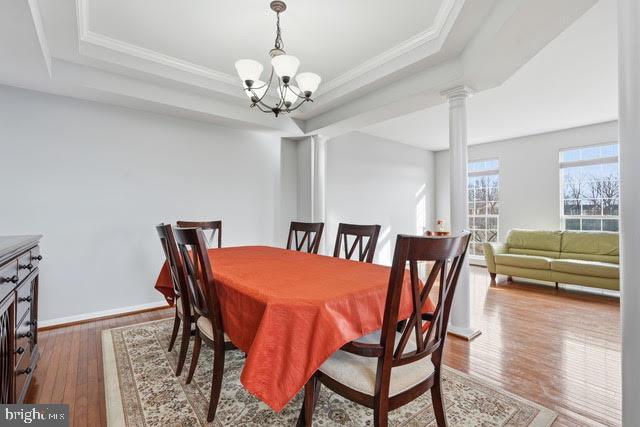 43281 GOOSEFOOT SQUARE