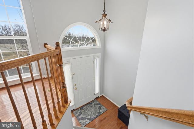 43281 GOOSEFOOT SQUARE