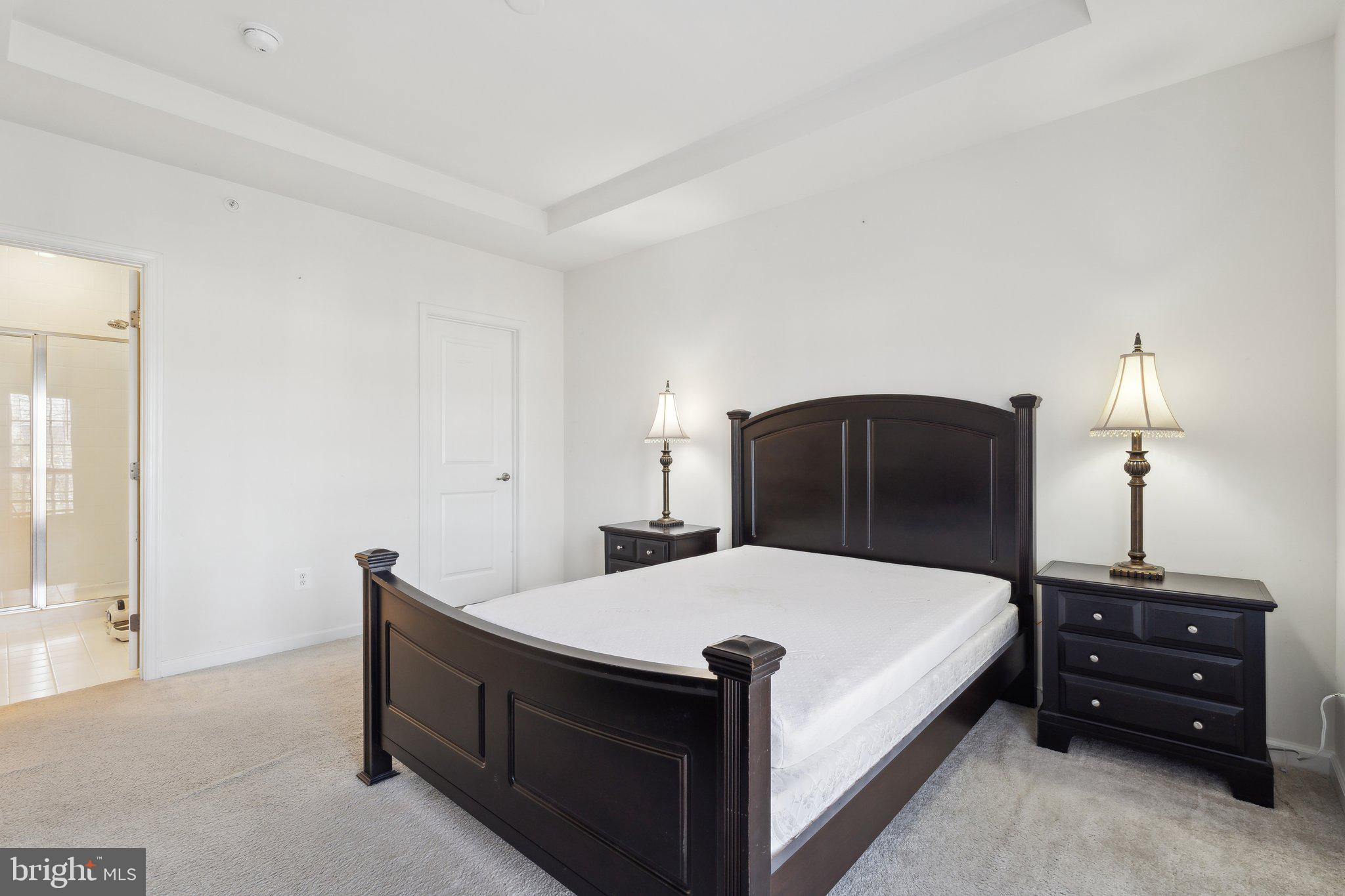 42116 PIEBALD SQUARE