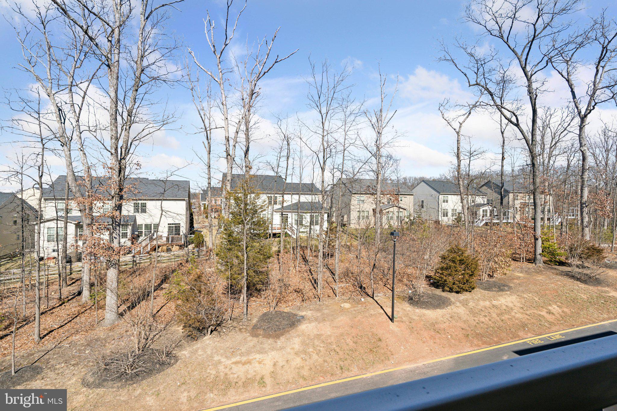 42116 PIEBALD SQUARE