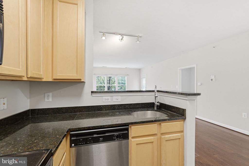 22607 BLUE ELDER TERRACE 303