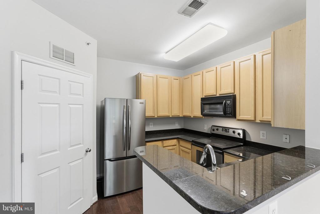 22607 BLUE ELDER TERRACE 303