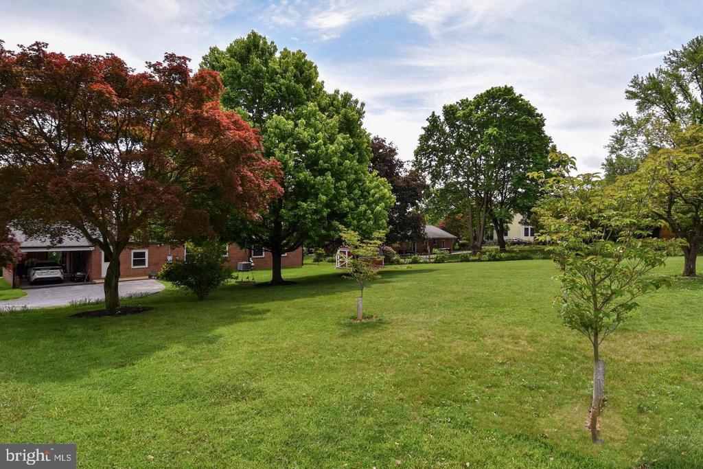 2 CINNAMON FERN ROAD