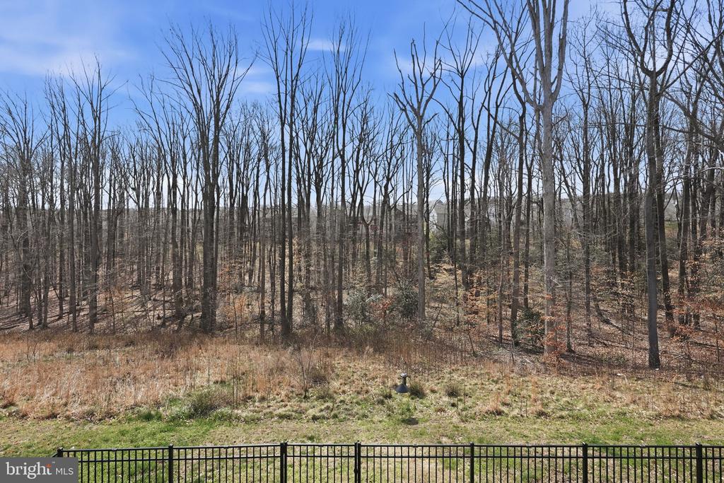 1555 MEADOWLARK GLEN ROAD