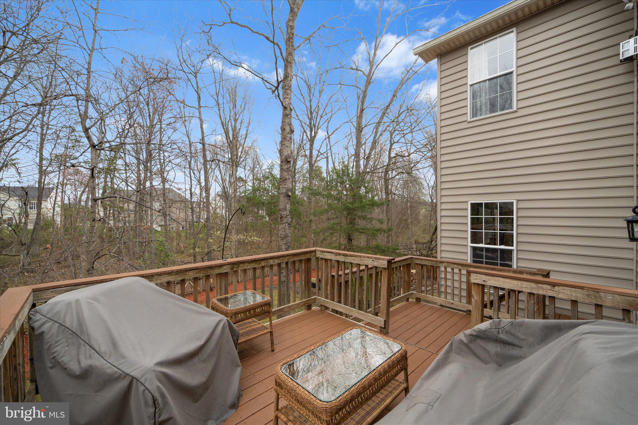 9325 RUSTIC BREEZE COURT