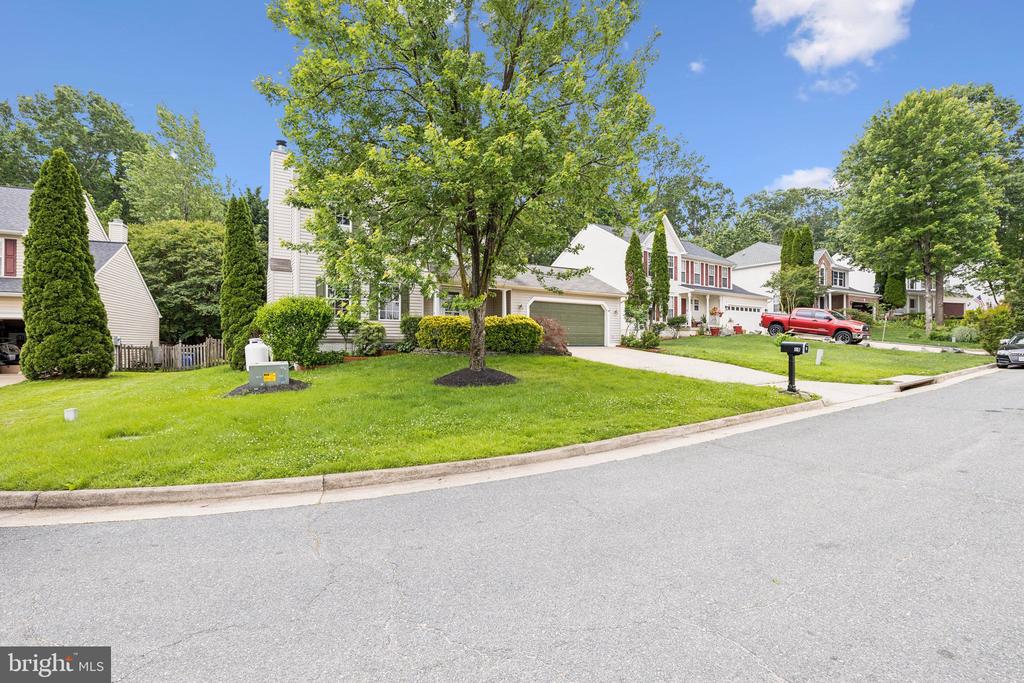 14 SAINT PETERS COURT