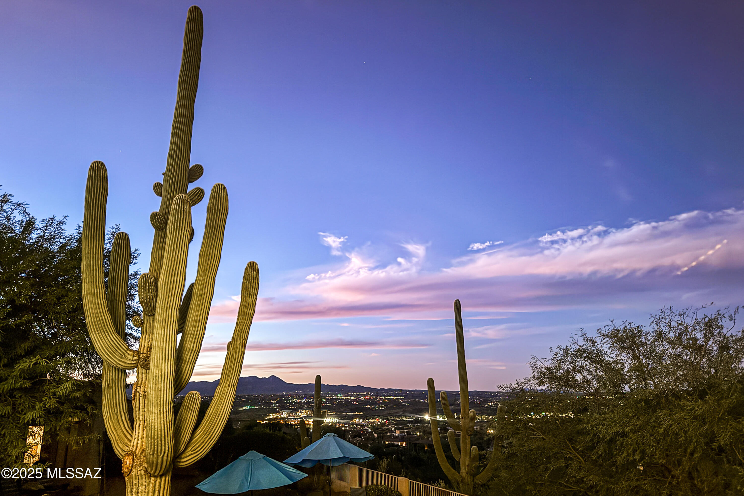 10140 N Calle Del Carnero