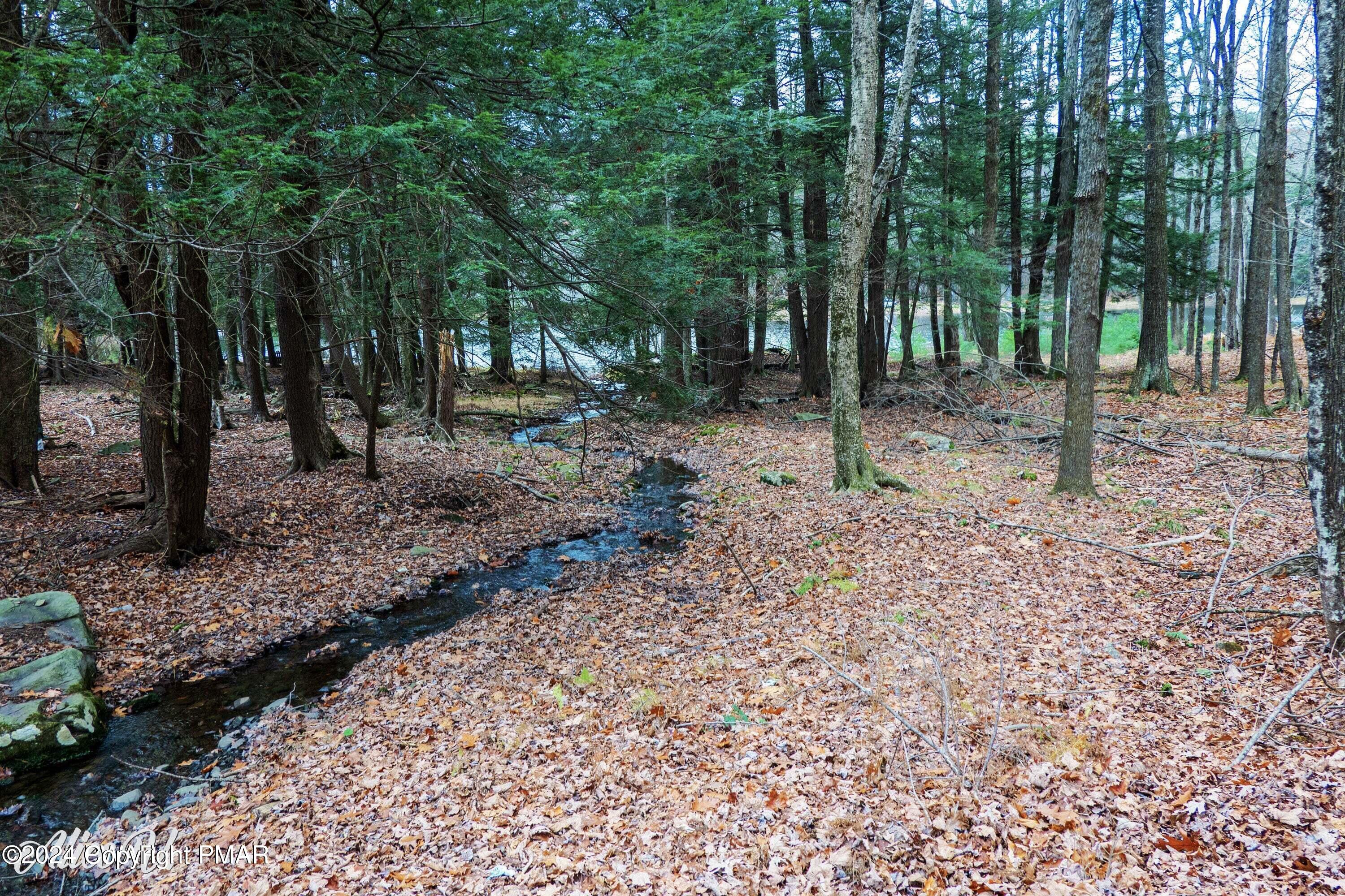 Hidden Hollow