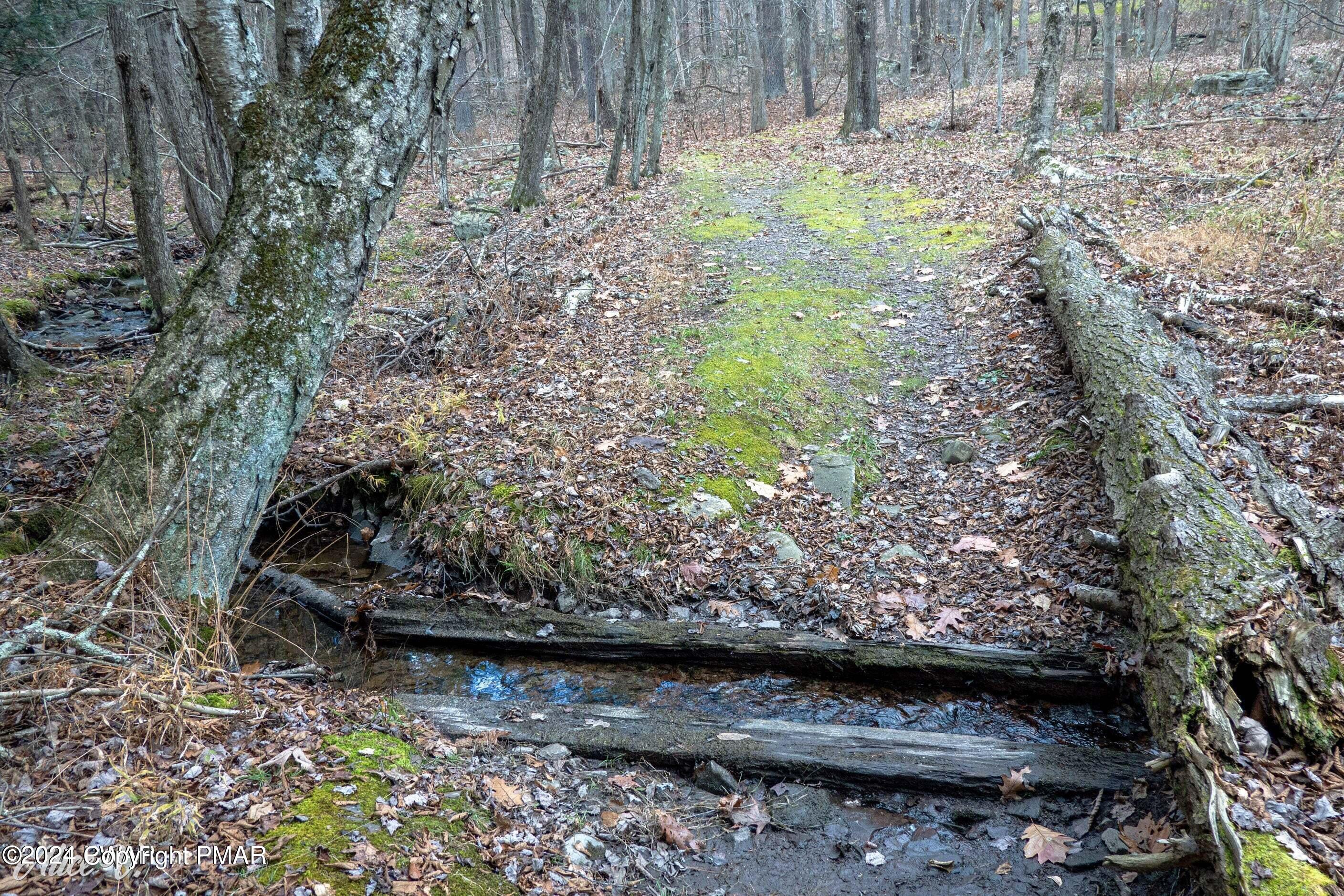 Hidden Hollow
