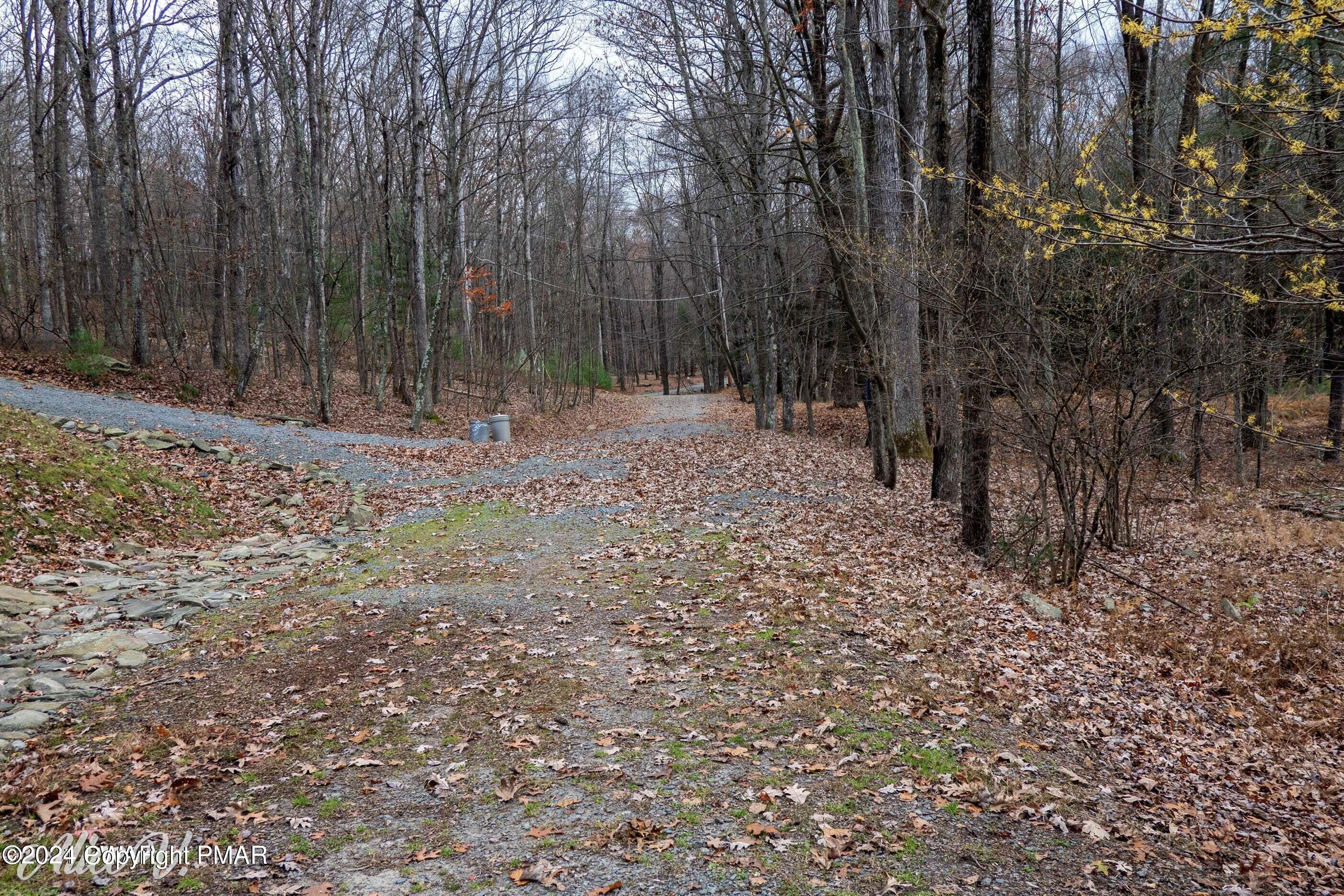 Hidden Hollow