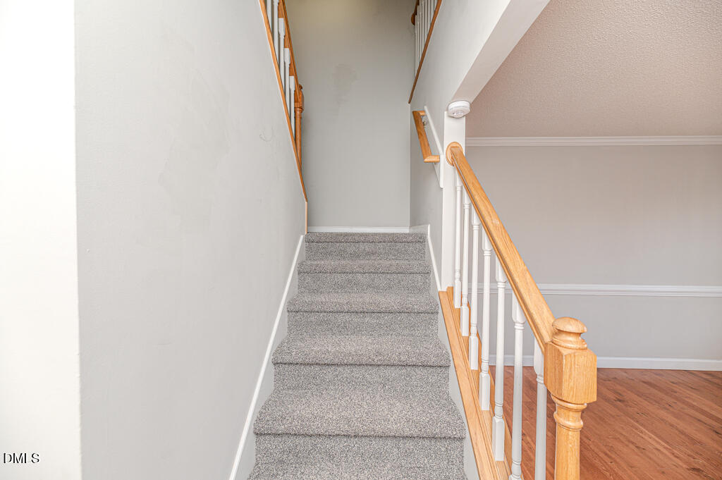 55 Forest Mountain Court