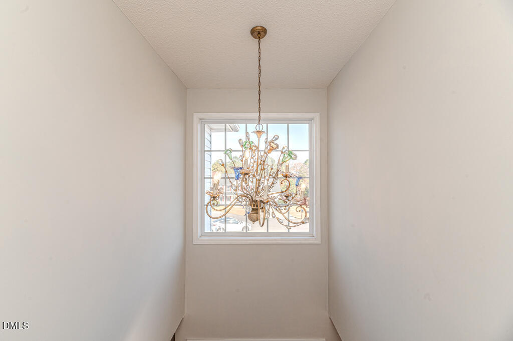 55 Forest Mountain Court