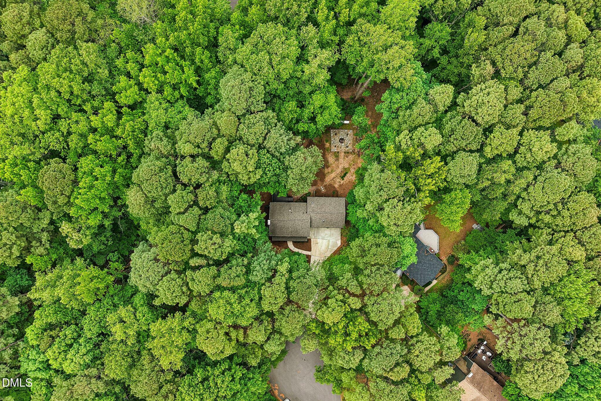3116 Avondale Court