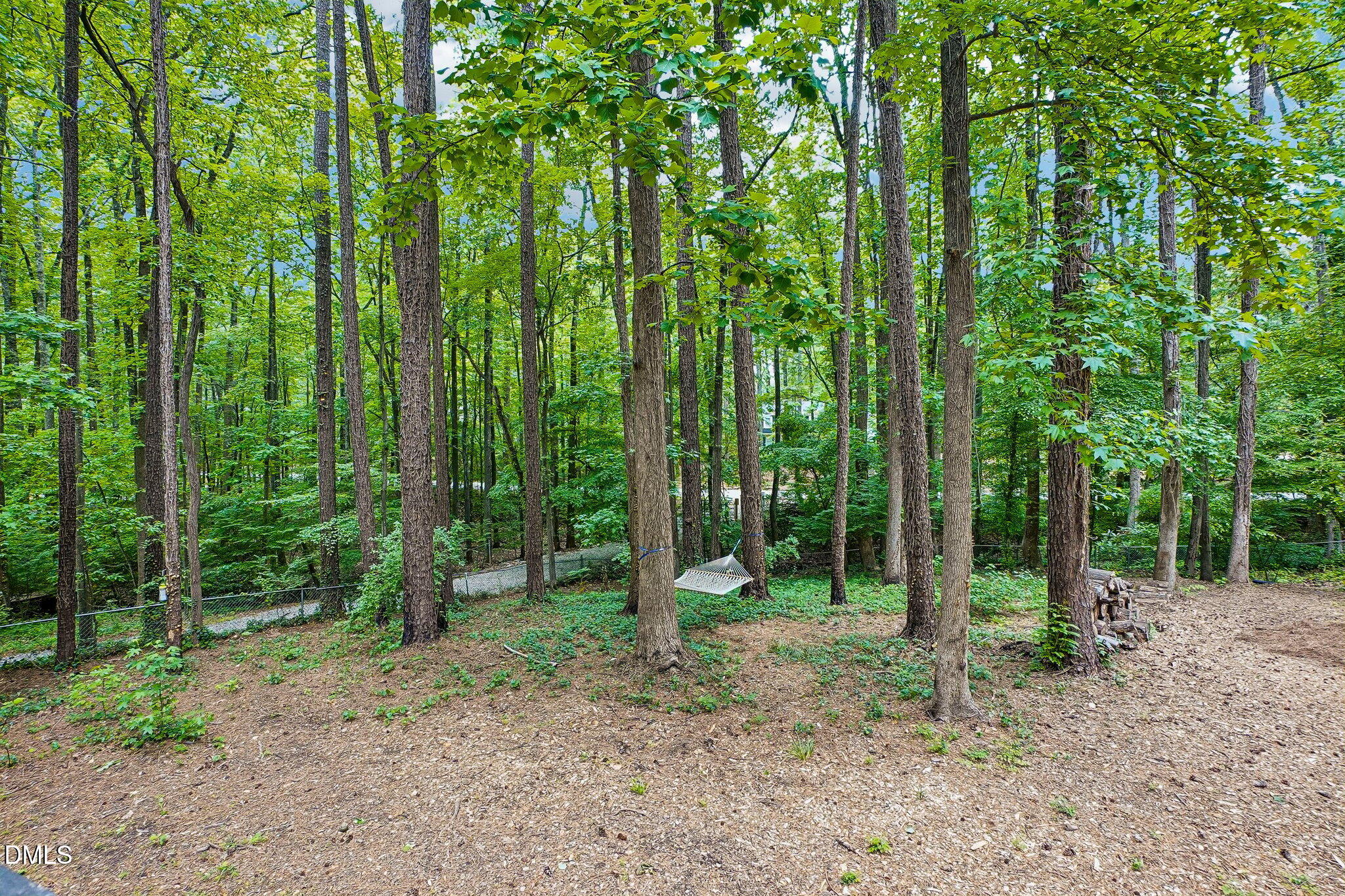 3116 Avondale Court