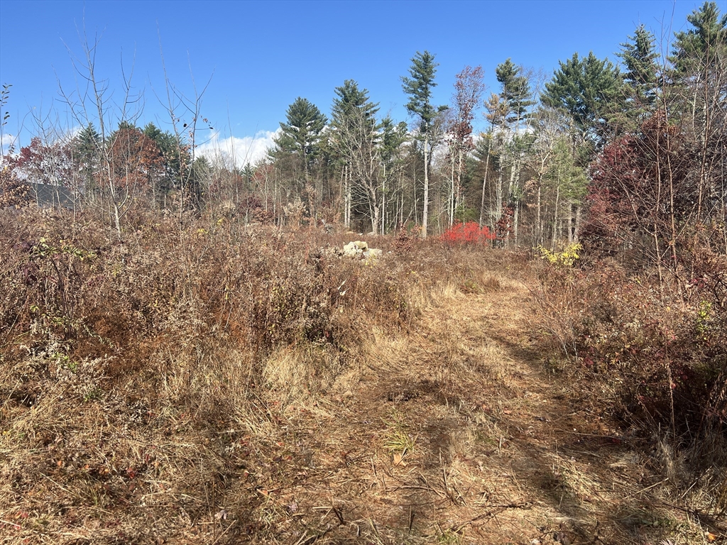 Lot 7 N Liberty St