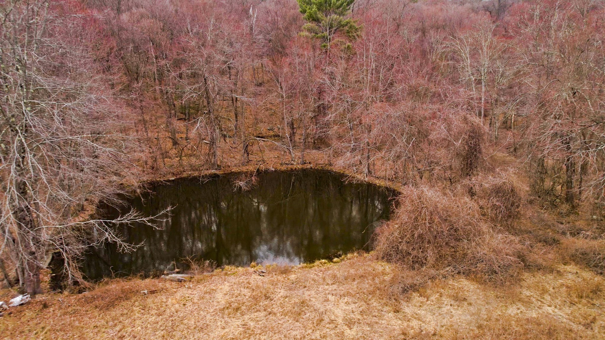 182 Old Stage Rd