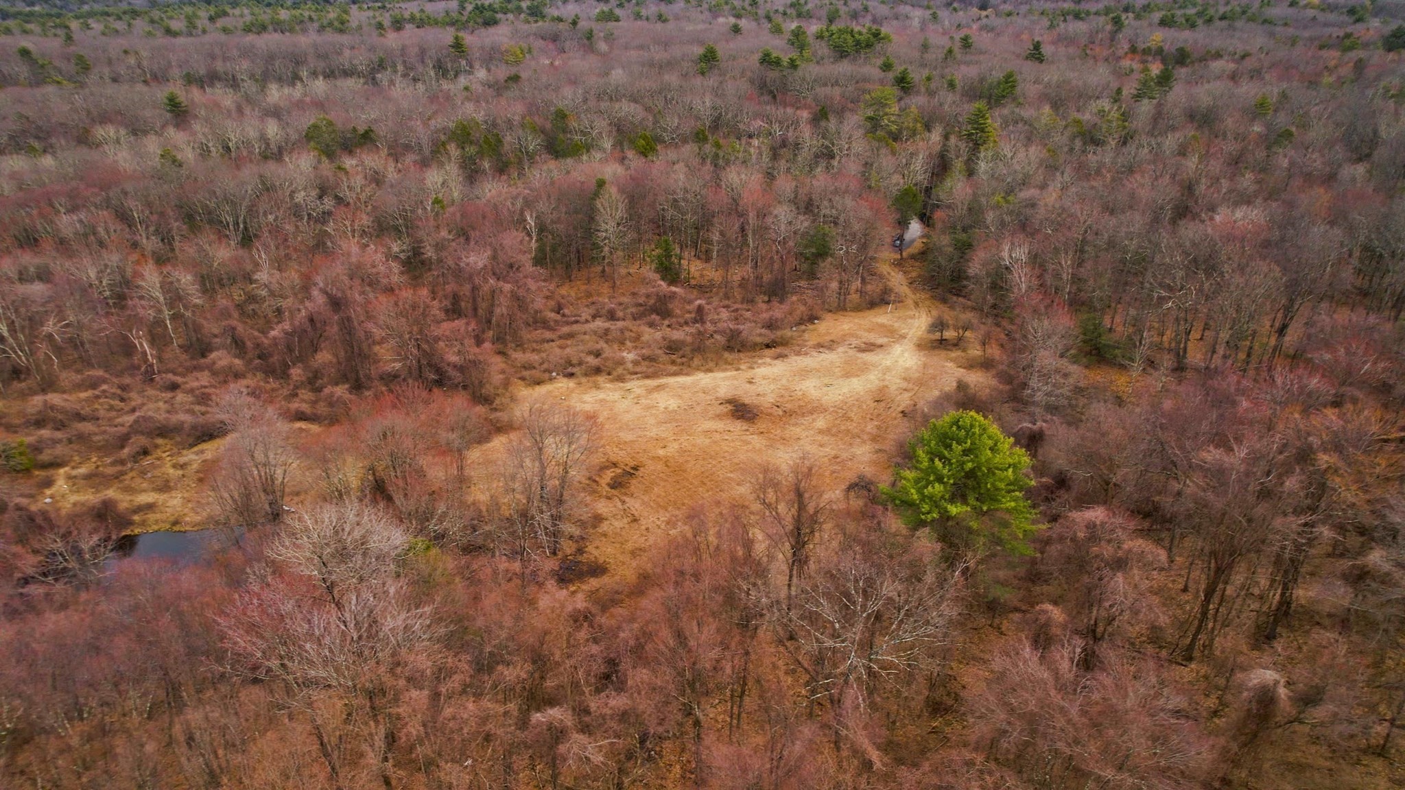 182 Old Stage Rd