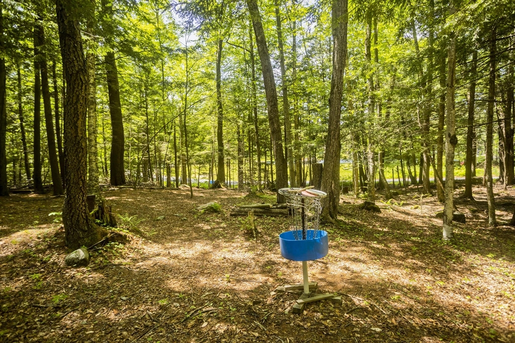 85 Damon Pond Rd