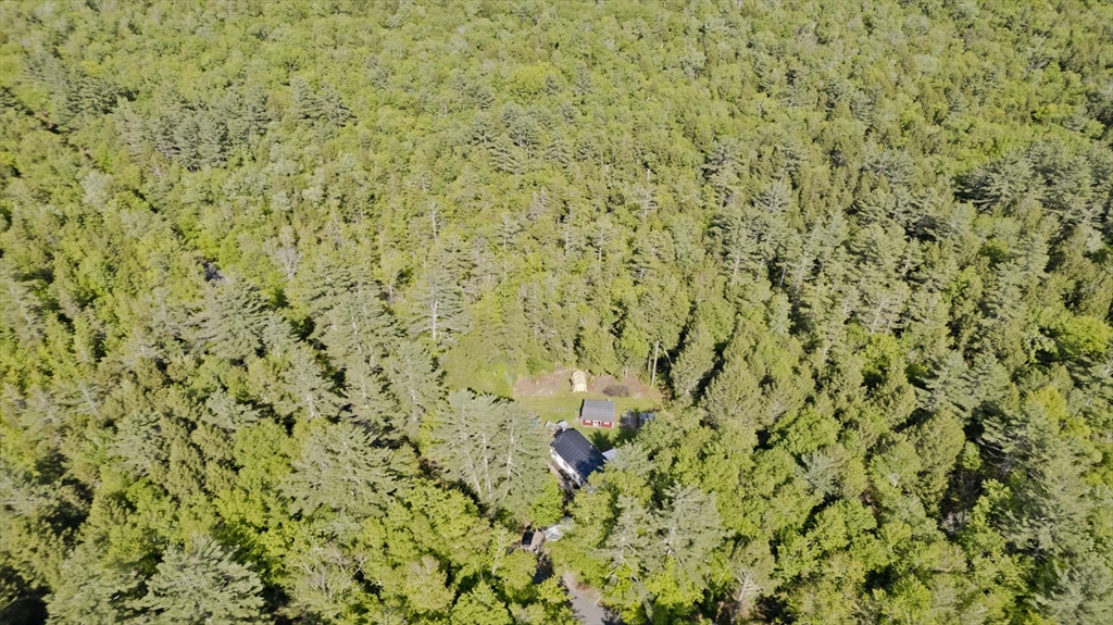 85 Damon Pond Rd
