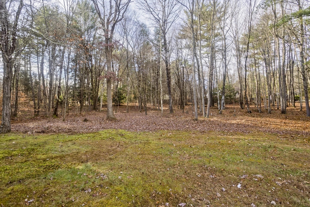 153 Dana Rd