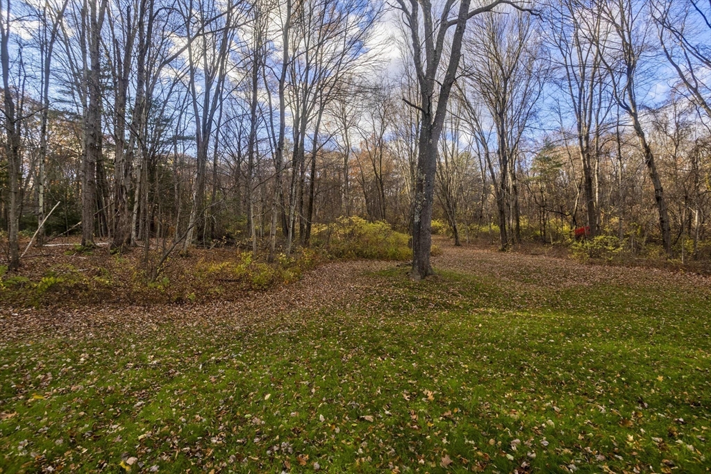 31 Leadmine Rd