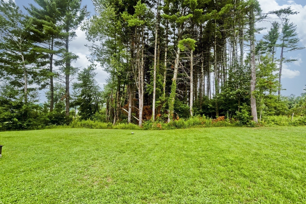11 Woodland Lane